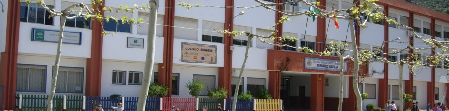 CENTRO DE EDUCACIÓN INFANTIL Y PRIMARIA FERNANDO GAVILÁN
